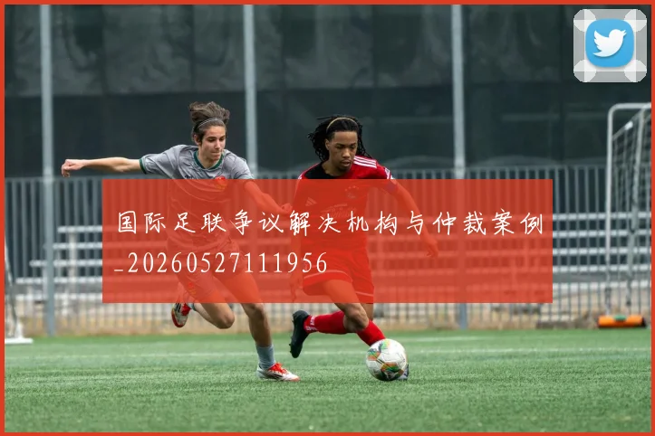 国际足联争议解决机构与仲裁案例_20260527111956