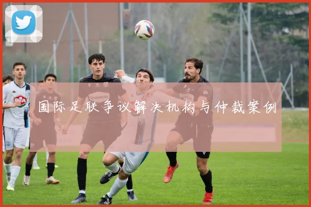 国际足联争议解决机构与仲裁案例