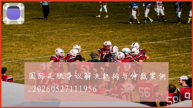 国际足联争议解决机构与仲裁案例_20260527111956